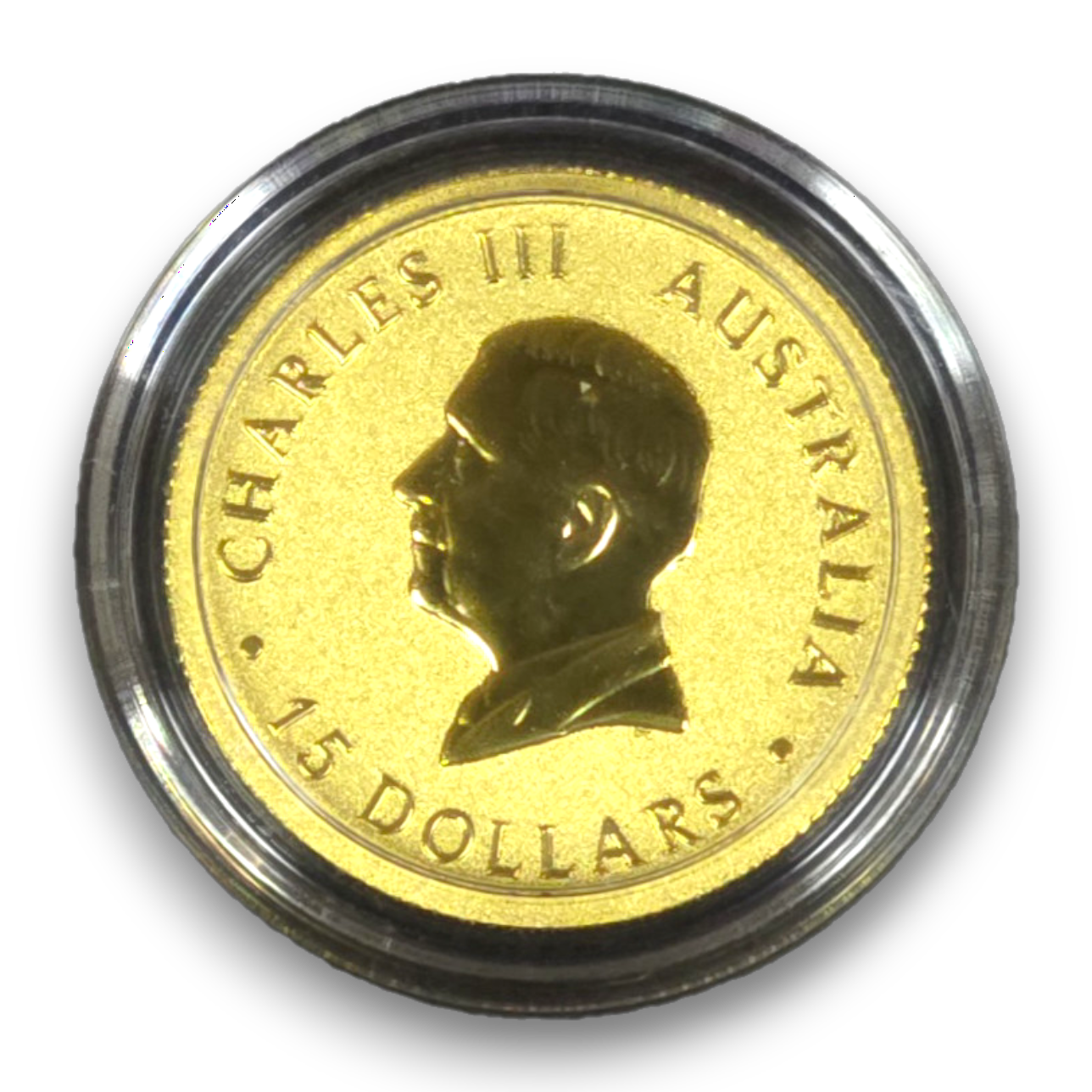 Australian Kangaroo 2026 1/10oz Gold Bullion Coin