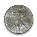 American Silver Eagle 2013 1oz Silver Bullion Coin