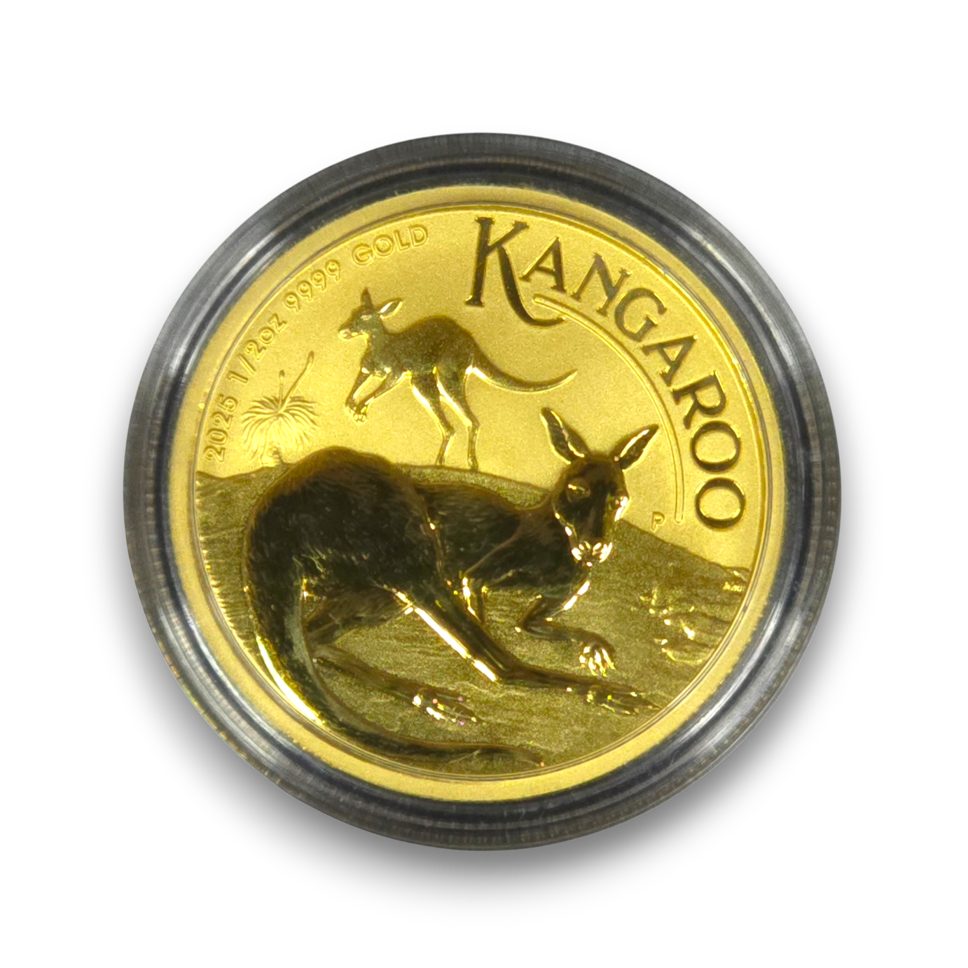 Australian Kangaroo 2025 1/2oz Gold Bullion Coin