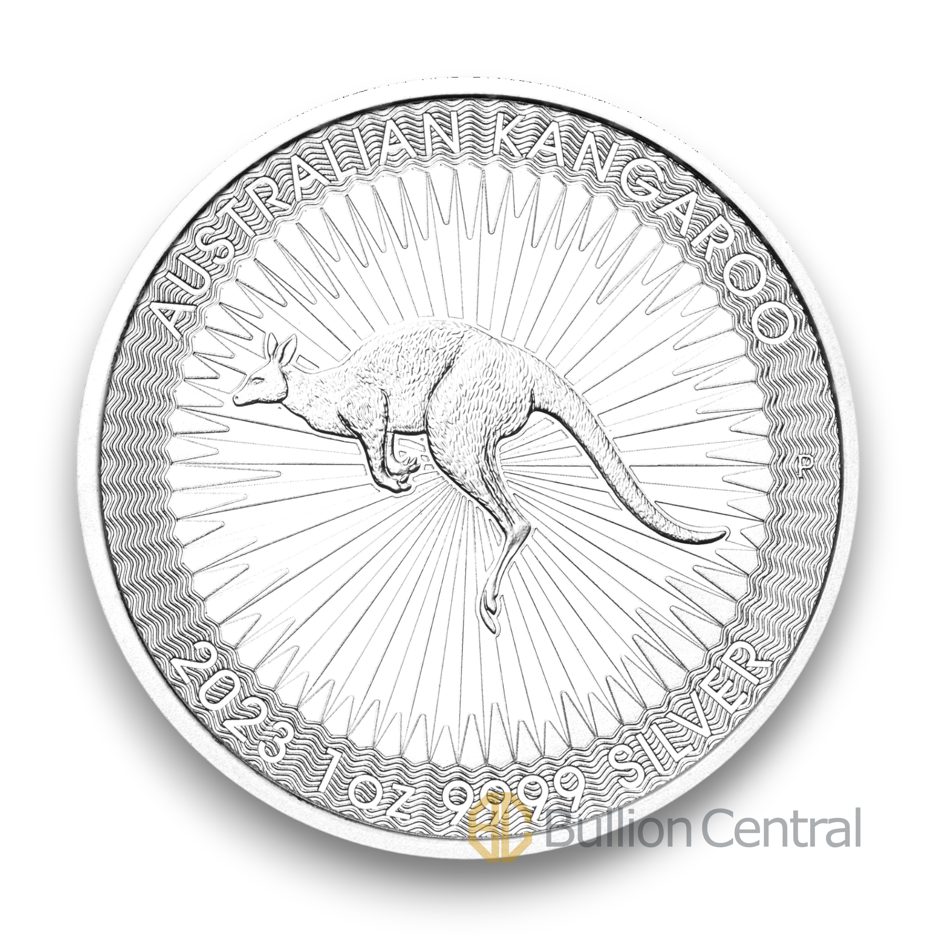 Australian Kangaroo 2023 1oz Silver Coin